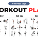 Perfect Workout Plan - Building Your Fitness Journey