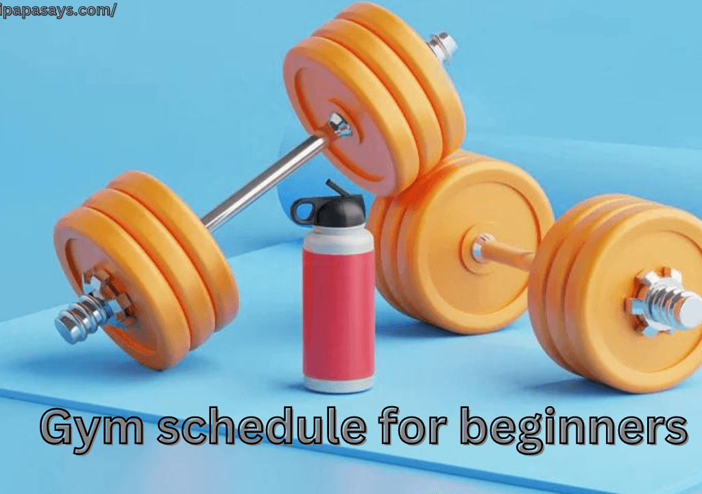 gym schedule for beginners