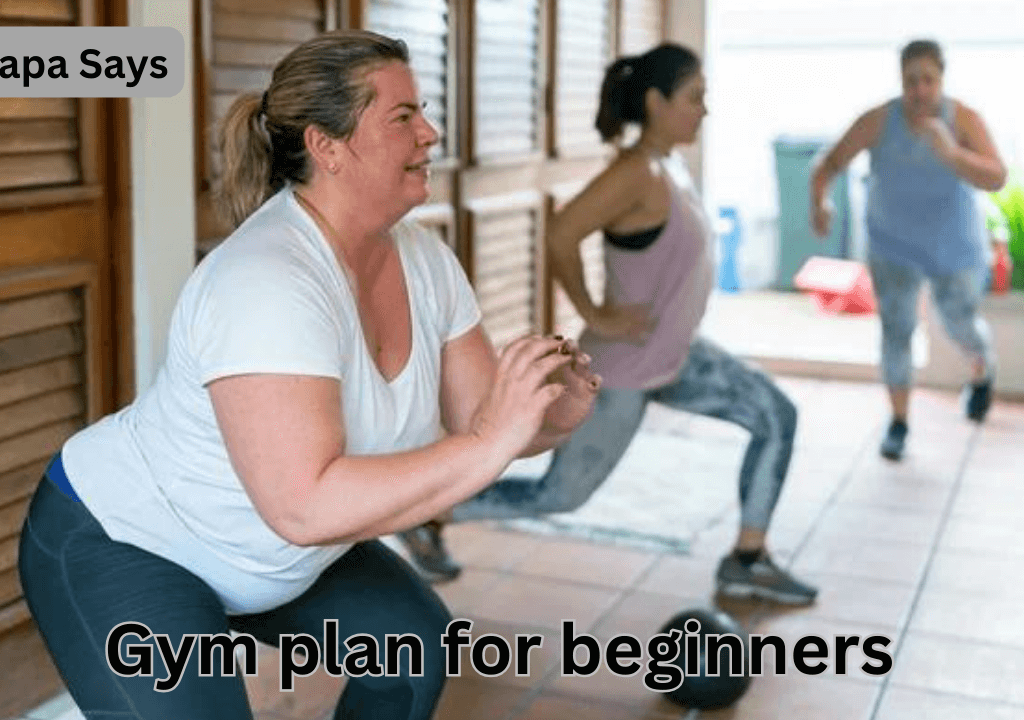 gym plan for beginners